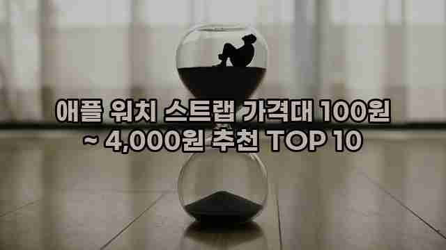 애플 워치 스트랩 가격대 100원 ~ 4,000원 추천 TOP 10