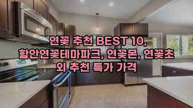  연꽃 추천 BEST 10, 함안연꽃테마파크, 연꽃몬, 연꽃초 외 추천 특가 가격