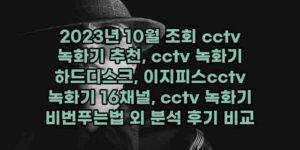 알리파파의 가성비 알리 제품 추천 2514 40