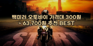 알리파파의 가성비 알리 제품 추천 766 1