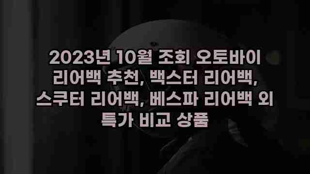 2023년 10월 조회 오토바이 리어백 추천, 백스터 리어백, 스쿠터 리어백, 베스파 리어백 외 특가 비교 상품