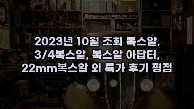 2023년 10월 조회 복스알, 3/4복스알, 복스알 아답터, 22mm복스알 외 특가 후기 평점