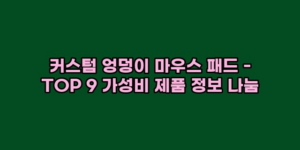 알리파파의 가성비 알리 제품 추천 494 15