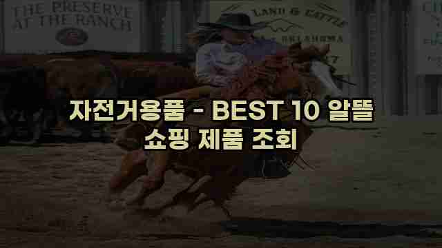 자전거용품 - BEST 10 알뜰 쇼핑 제품 조회