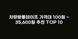 알리파파의 가성비 알리 제품 추천 1922 1