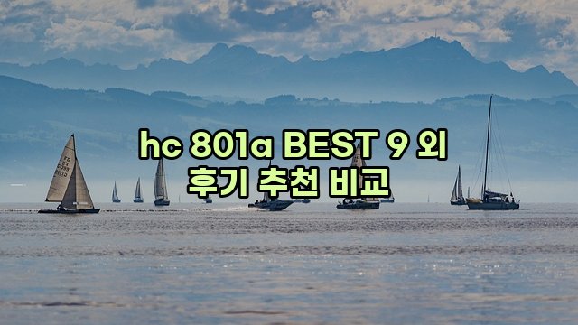  hc 801a BEST 9 외 후기 추천 비교