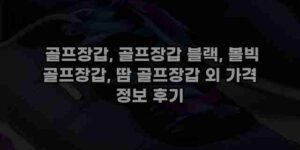 알리파파의 가성비 알리 제품 추천 2233 1
