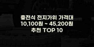 알리파파의 가성비 알리 제품 추천 2311 1