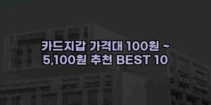 알리파파의 가성비 알리 제품 추천 17978 39
