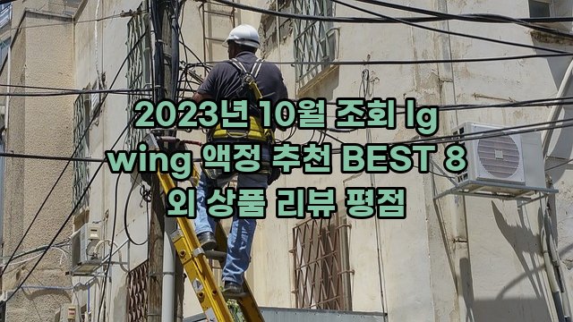 2023년 10월 조회 lg wing 액정 추천 BEST 8 외 상품 리뷰 평점