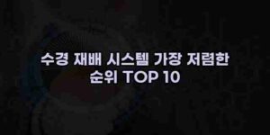 알리파파의 가성비 알리 제품 추천 11173 17