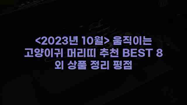 알리파파의 가성비 알리 제품 추천 2610 1