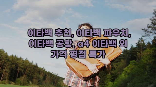  이타백 추천, 이타백 파우치, 이타백 공항, a4 이타백 외 가격 평점 특가