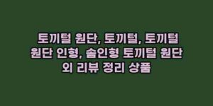 알리파파의 가성비 알리 제품 추천 2830 1