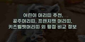 알리파파의 가성비 알리 제품 추천 3589 12