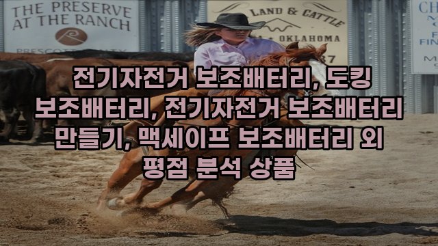  전기자전거 보조배터리, 도킹 보조배터리, 전기자전거 보조배터리 만들기, 맥세이프 보조배터리 외 평점 분석 상품