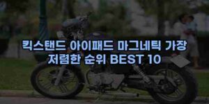 알리파파의 가성비 알리 제품 추천 4462 85
