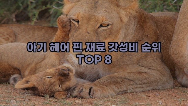 아기 헤어 핀 재료 갓성비 순위 TOP 8