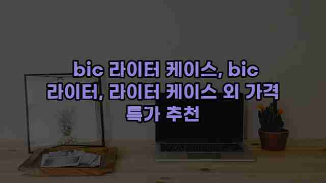  bic 라이터 케이스, bic 라이터, 라이터 케이스 외 가격 특가 추천