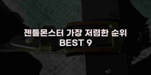 알리파파의 가성비 알리 제품 추천 47695 29
