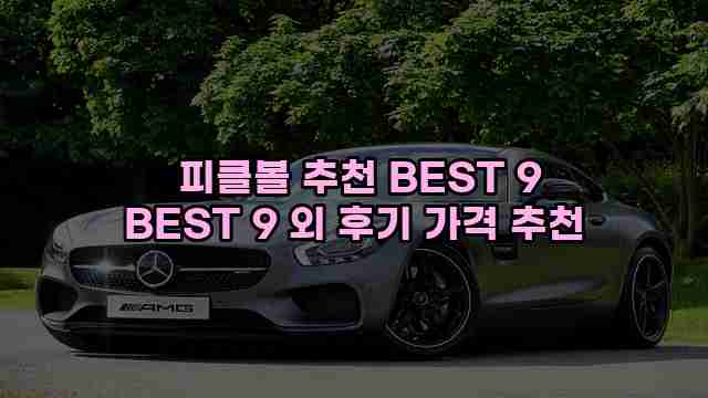  피클볼 추천 BEST 9 BEST 9 외 후기 가격 추천