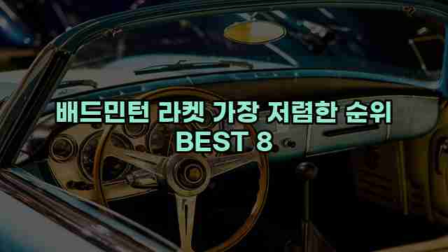 배드민턴 라켓 가장 저렴한 순위 BEST 8