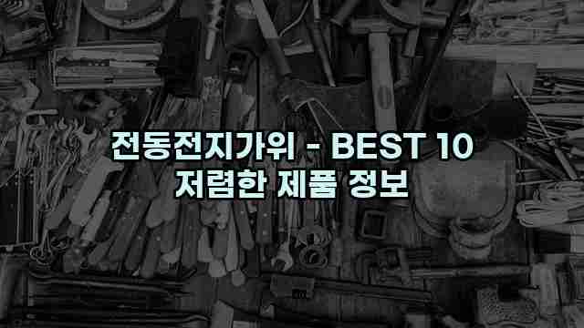 전동전지가위 - BEST 10 저렴한 제품 정보