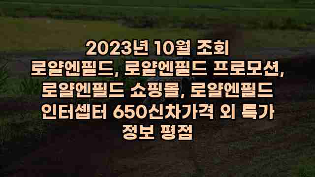 2023년 10월 조회 로얄엔필드, 로얄엔필드 프로모션, 로얄엔필드 쇼핑몰, 로얄엔필드 인터셉터 650신차가격 외 특가 정보 평점