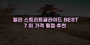 알리파파의 가성비 알리 제품 추천 4462 28