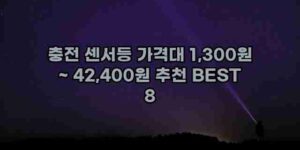 알리파파의 가성비 알리 제품 추천 32695 28