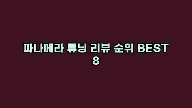 파나메라 튜닝 리뷰 순위 BEST 8