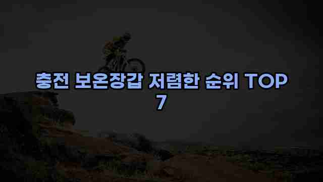 충전 보온장갑 저렴한 순위 TOP 7