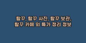 알리파파의 가성비 알리 제품 추천 4912 29