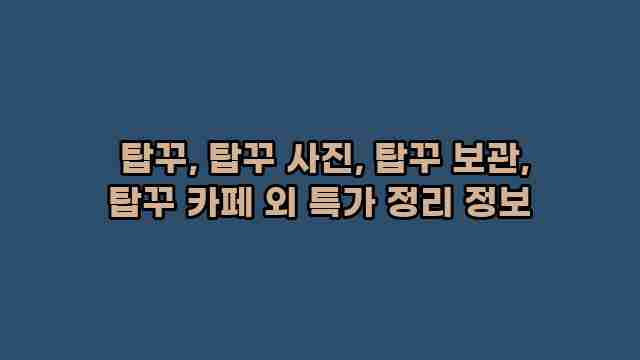  탑꾸, 탑꾸 사진, 탑꾸 보관, 탑꾸 카페 외 특가 정리 정보