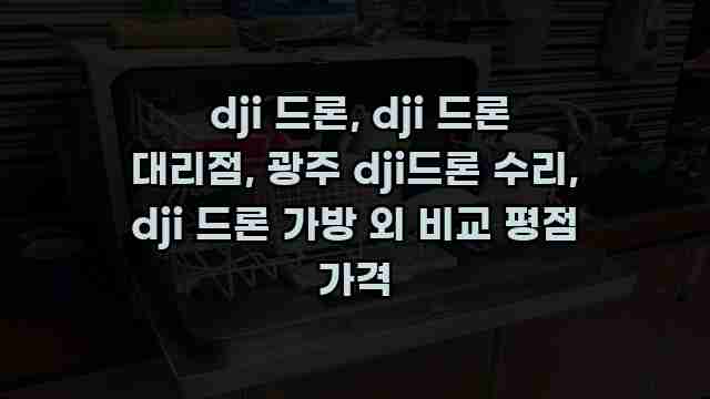  dji 드론, dji 드론 대리점, 광주 dji드론 수리, dji 드론 가방 외 비교 평점 가격