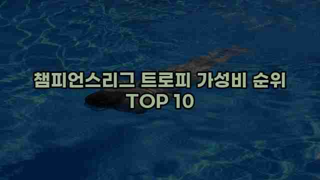 챔피언스리그 트로피 가성비 순위 TOP 10