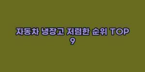 알리파파의 가성비 알리 제품 추천 21551 41