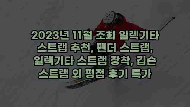 2023년 11월 조회 일렉기타 스트랩 추천, 펜더 스트랩, 일렉기타 스트랩 장착, 깁슨 스트랩 외 평점 후기 특가