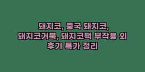 알리파파의 가성비 알리 제품 추천 14196 42