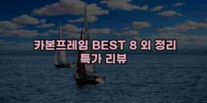 알리파파의 가성비 알리 제품 추천 6174 1