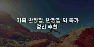 알리파파의 가성비 알리 제품 추천 11194 15