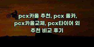 알리파파의 가성비 알리 제품 추천 39763 27