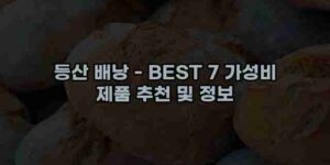알리파파의 가성비 알리 제품 추천 6641 1