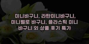 알리파파의 가성비 알리 제품 추천 49671 13