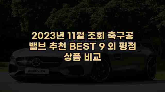 2023년 11월 조회 축구공 밸브 추천 BEST 9 외 평점 상품 비교