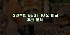 알리파파의 가성비 알리 제품 추천 10527 1