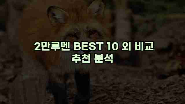  2만루멘 BEST 10 외 비교 추천 분석
