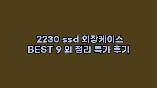  2230 ssd 외장케이스 BEST 9 외 정리 특가 후기