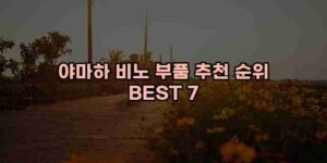 알리파파의 가성비 알리 제품 추천 8638 123
