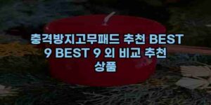 알리파파의 가성비 알리 제품 추천 8788 68